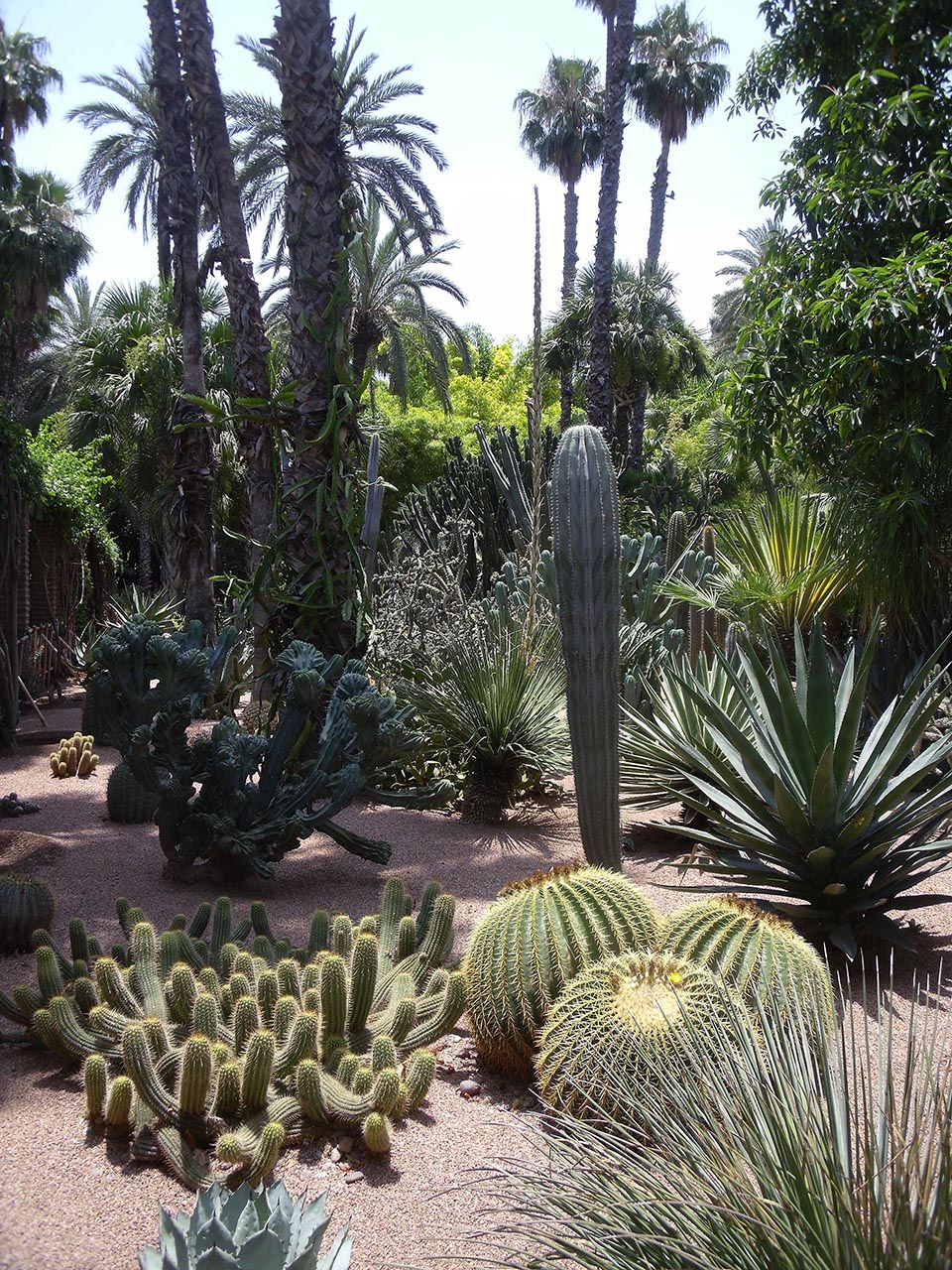 Marrakech