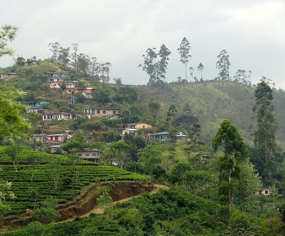 nuwara_eliya