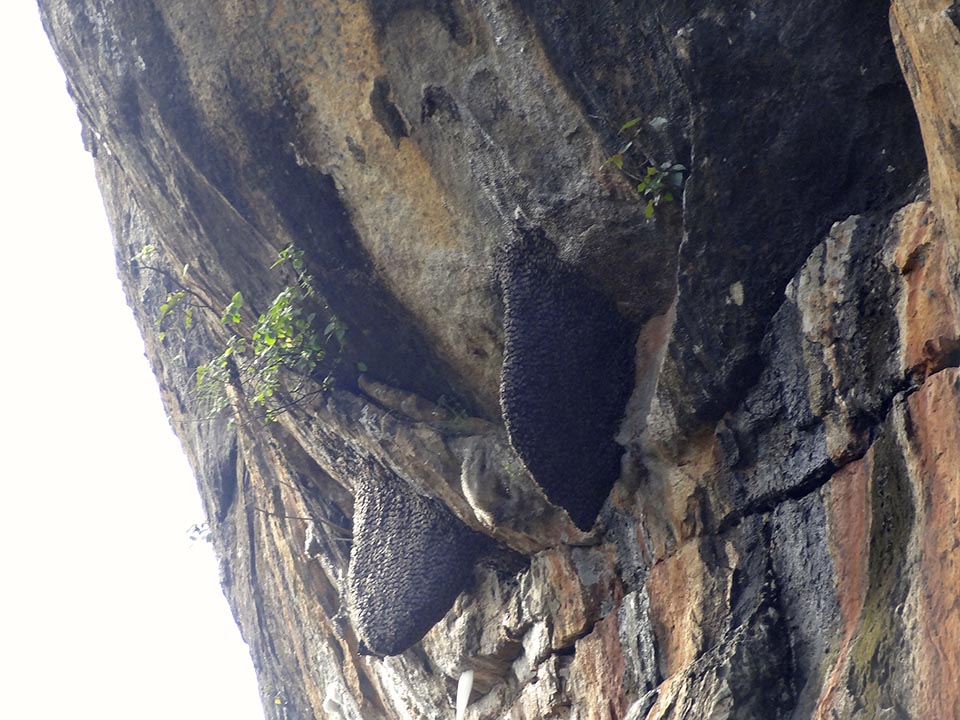 rocher de sigiriya