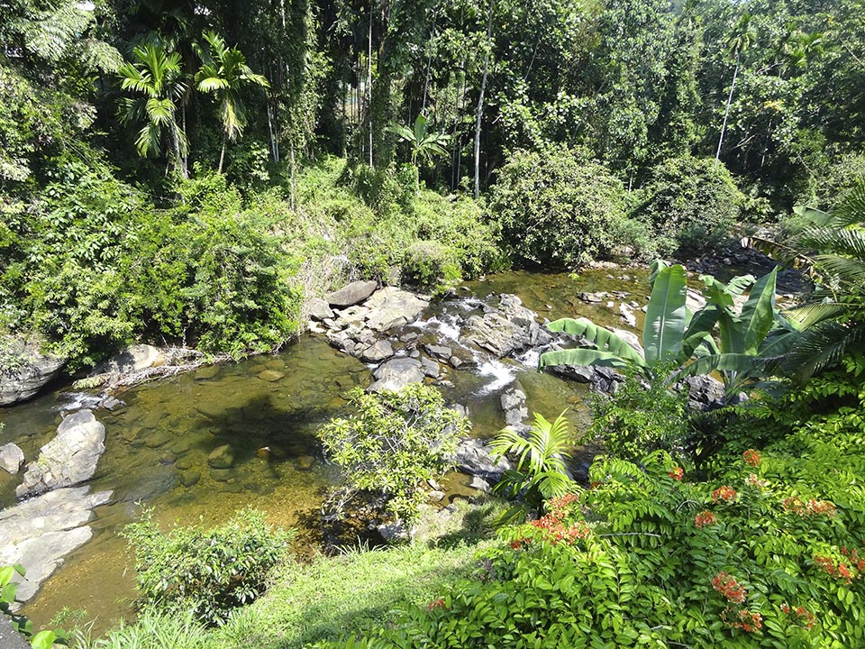 nuwara_eliya