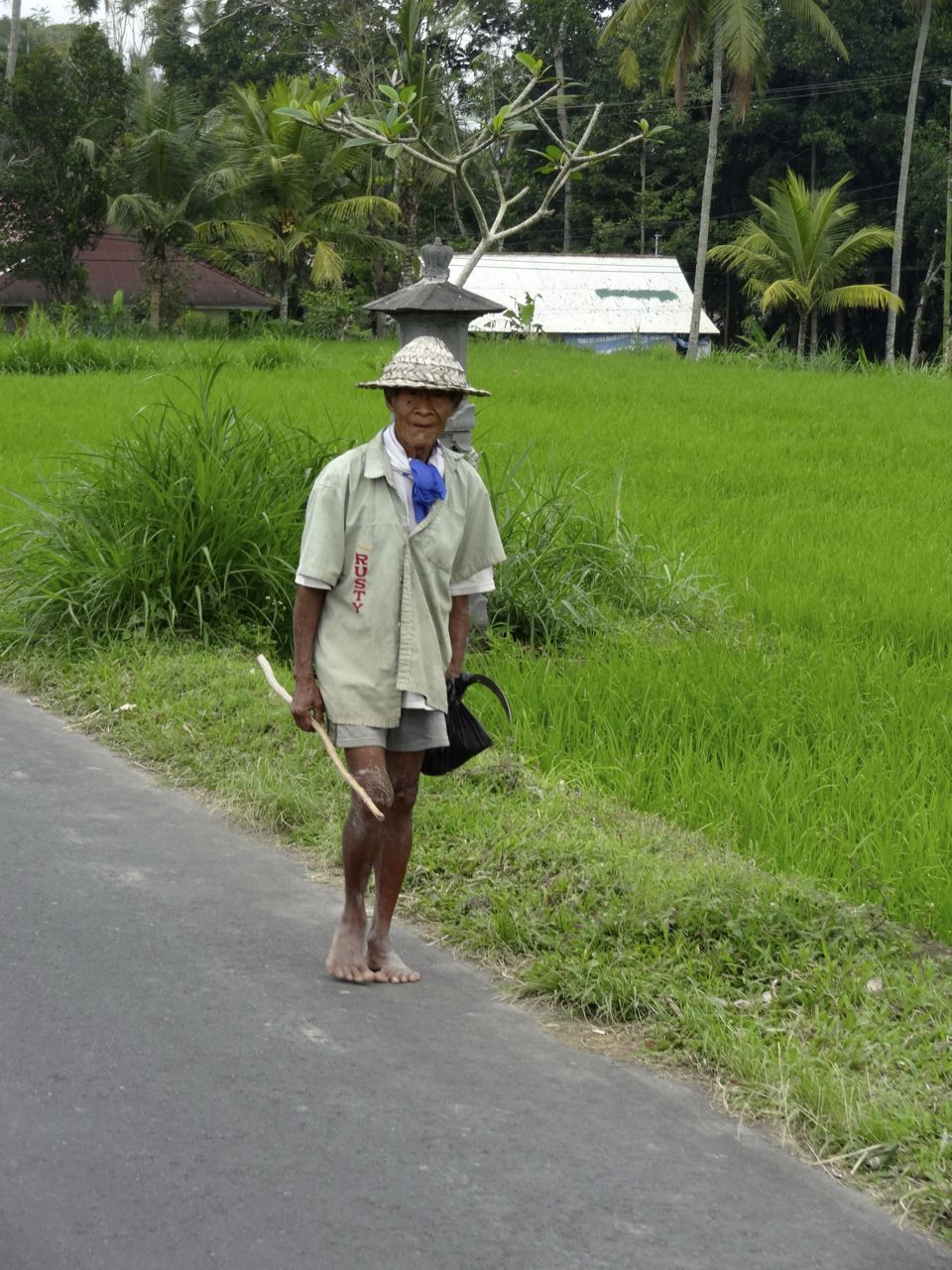 bali