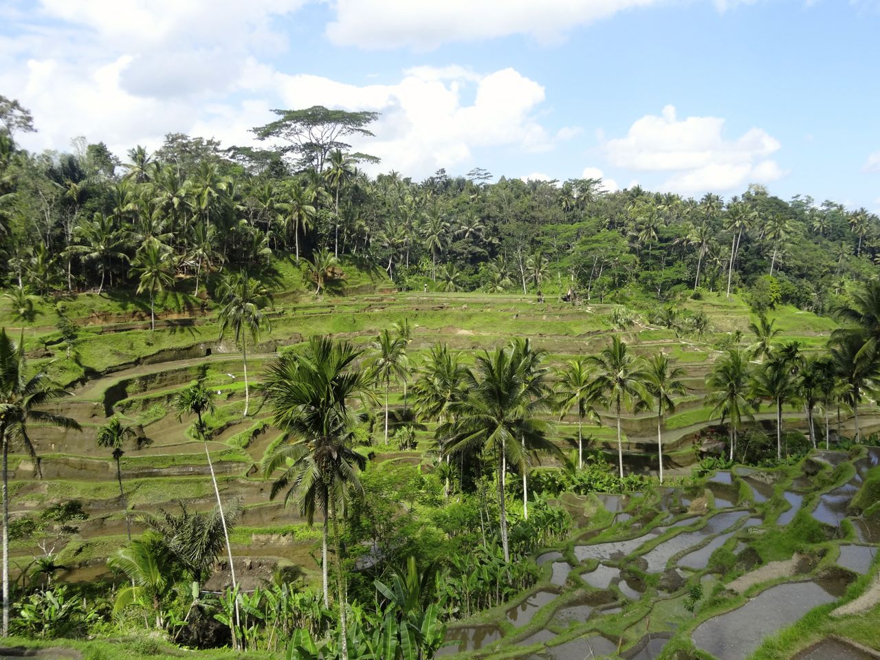 temple_bali