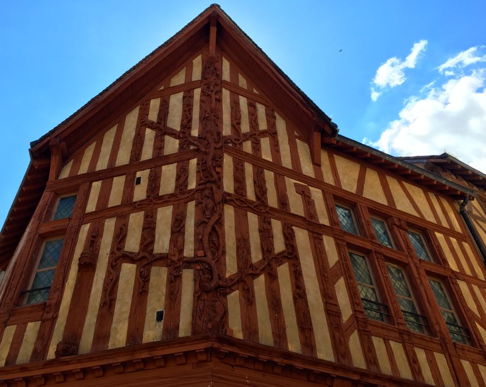 maison_arbre_jesse