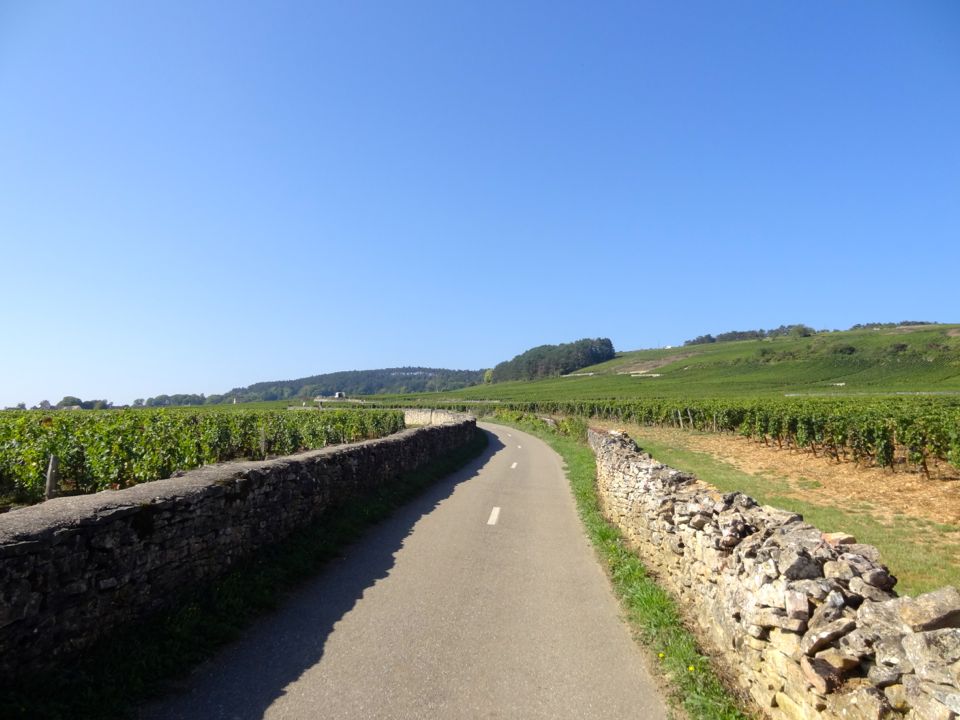 voie des vignes fantastic picnic