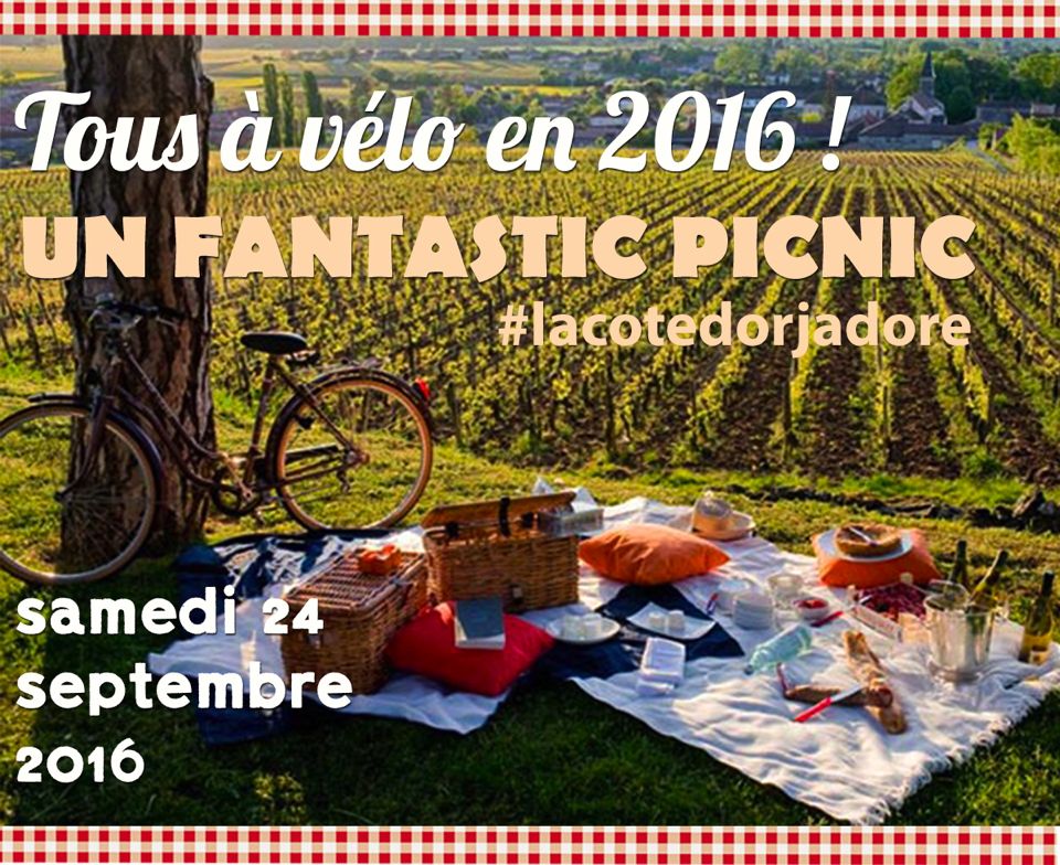 fantastic picnic