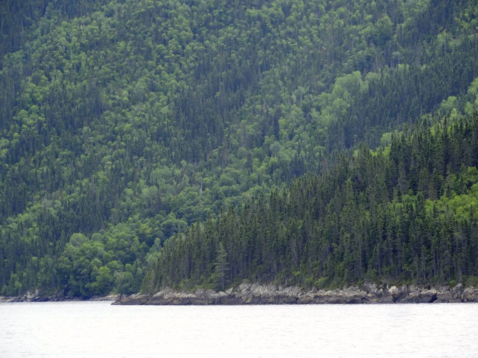 FJORD DU SAGUENAY
