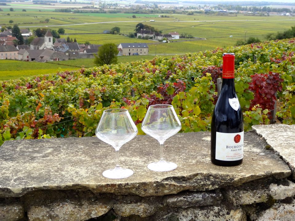 route_des_grands_crus route des grands crus