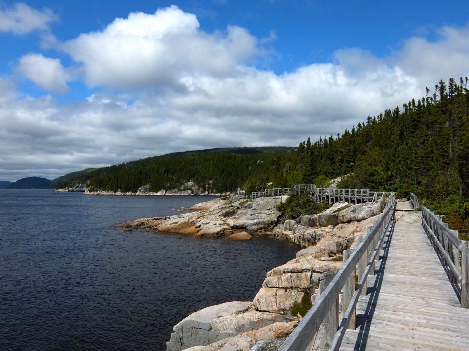 voir les baleines a tadoussac