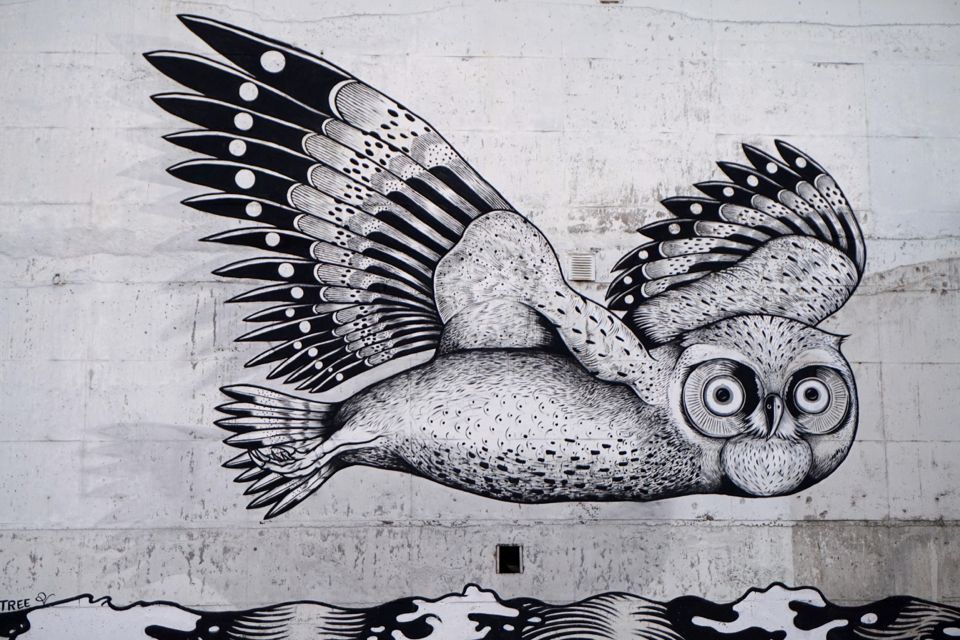 visiter tromso street art