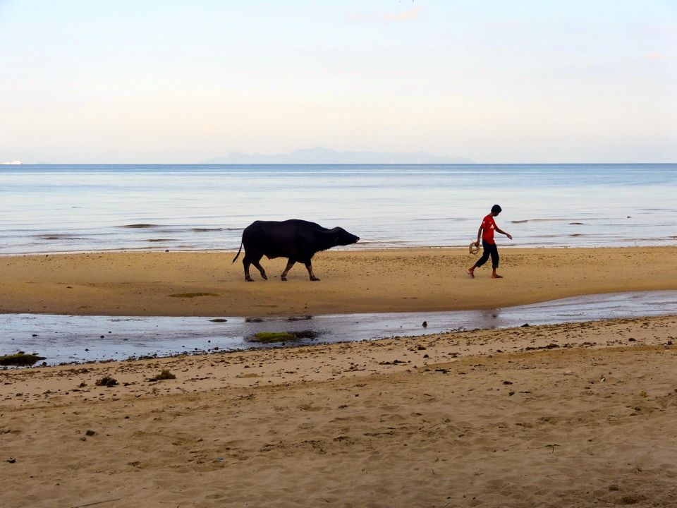 ko samui thailande