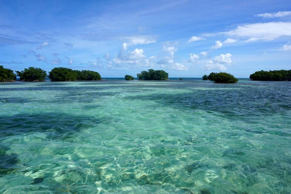 grand cul de sac marin guadeloupe