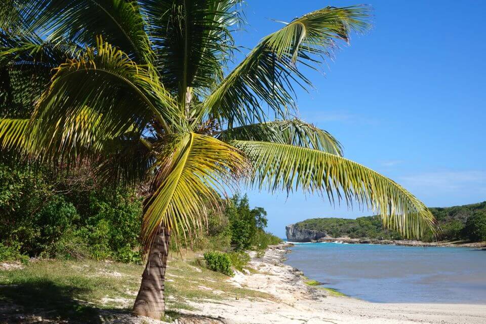 plus belles plages de guadeloupe