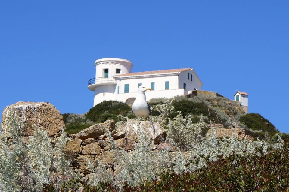 corse en slow travel