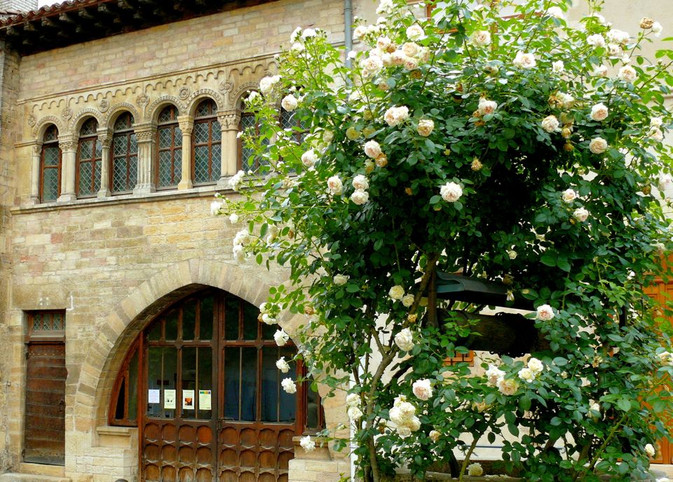 visiter cluny