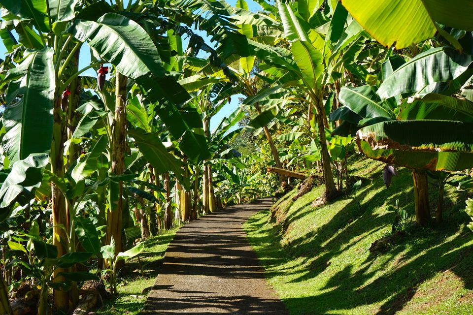 7 jours en Martinique