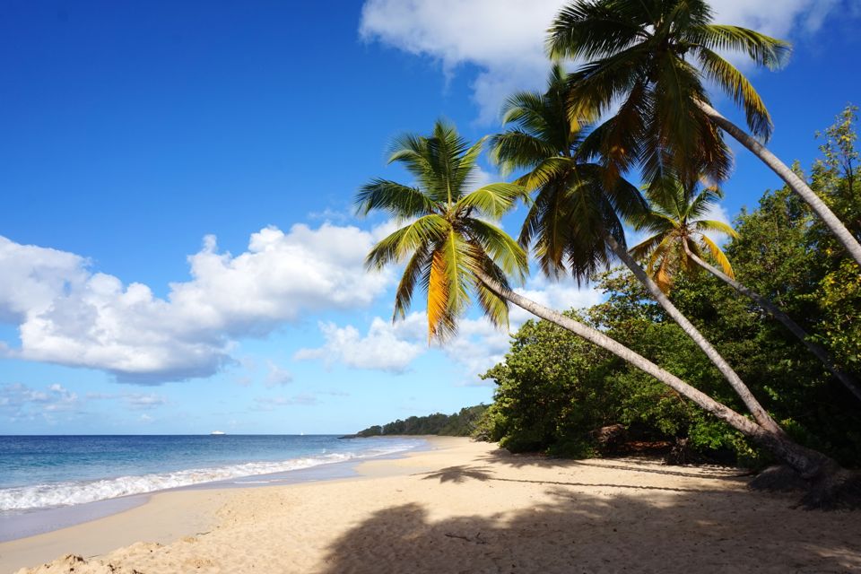 7 jours en Martinique