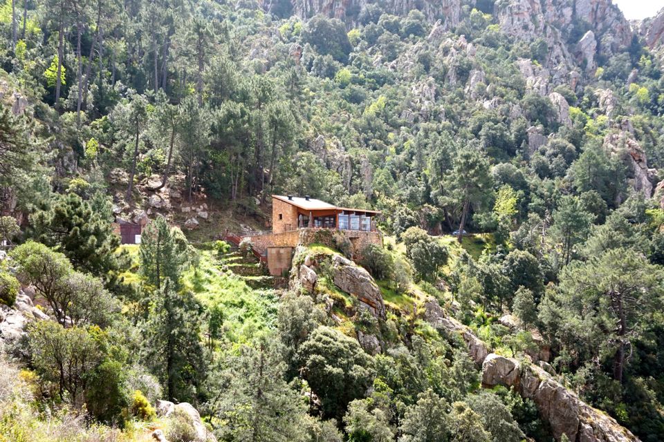 Visiter les calanques de Piana : guide pratique