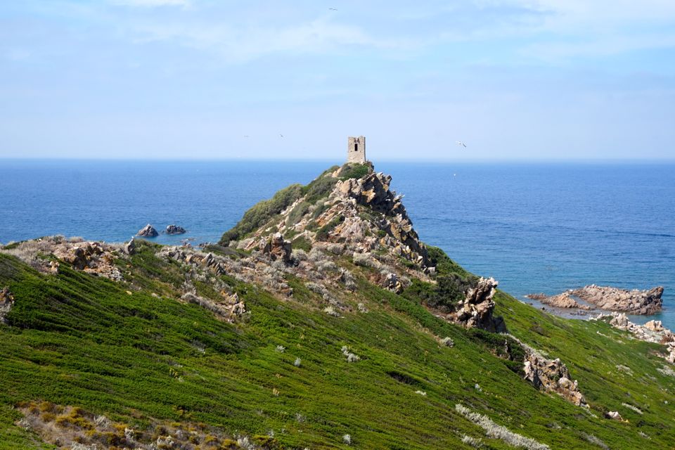 Visiter les iles sanguinaires en Corse