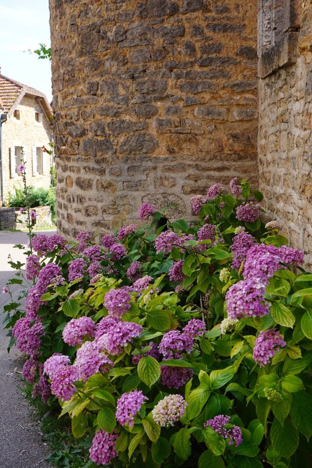 Visiter le village et le chateau de Chateauneuf