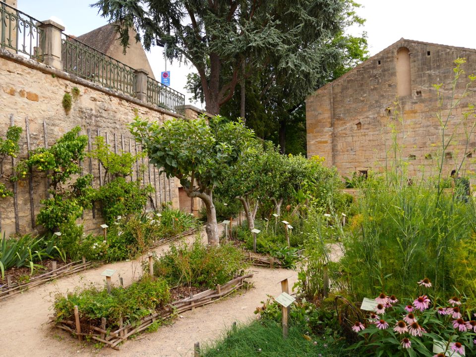 Abbaye de Cluny