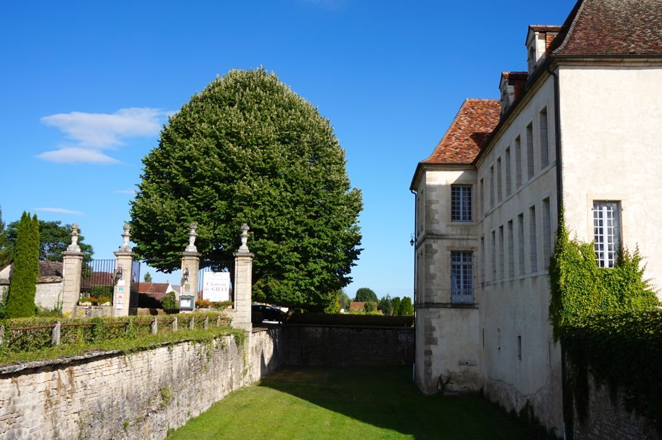 Chateau de Gilly, Bourgogne