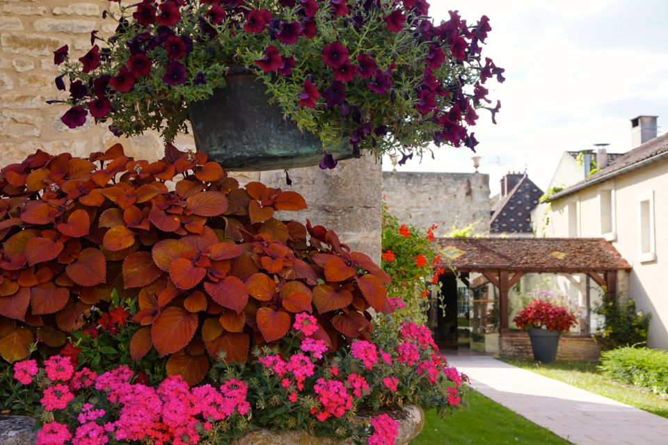 Chateau de Gilly, Bourgogne