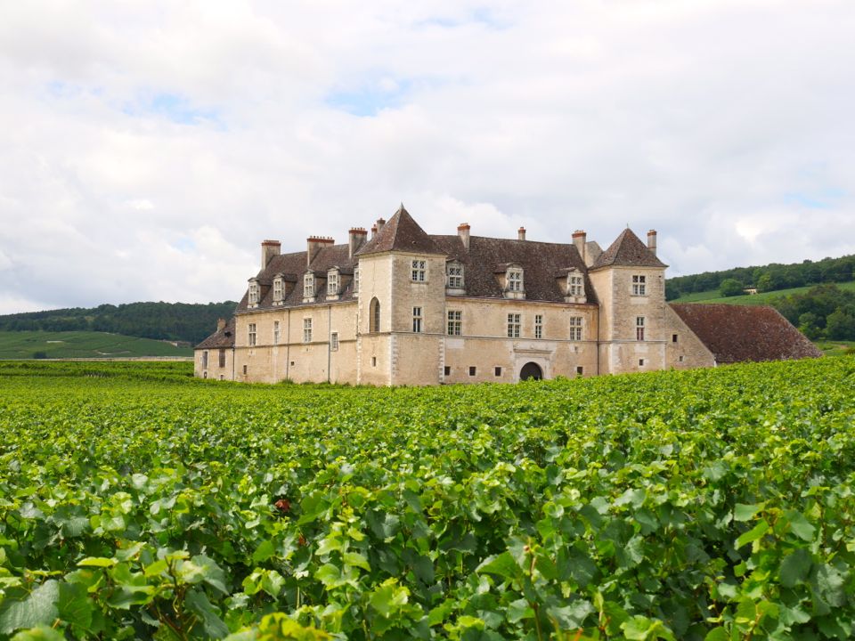 clos vougeot