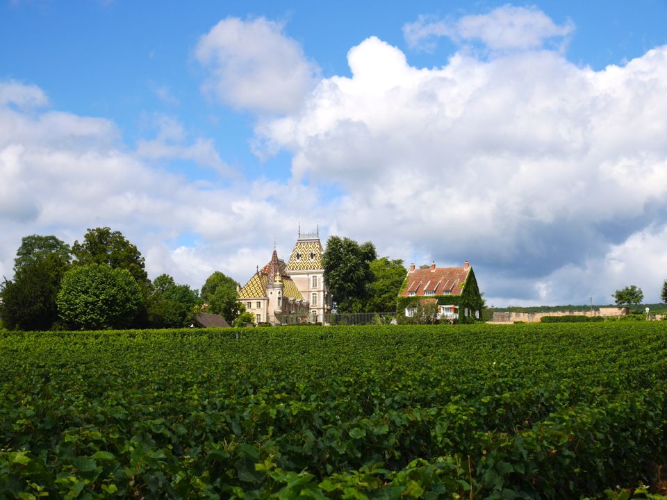 Visiter la Cote de Beaune en Bourgogne