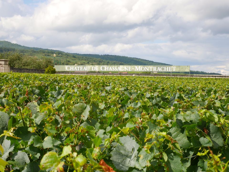 chateau_de_chassagne_montrachet