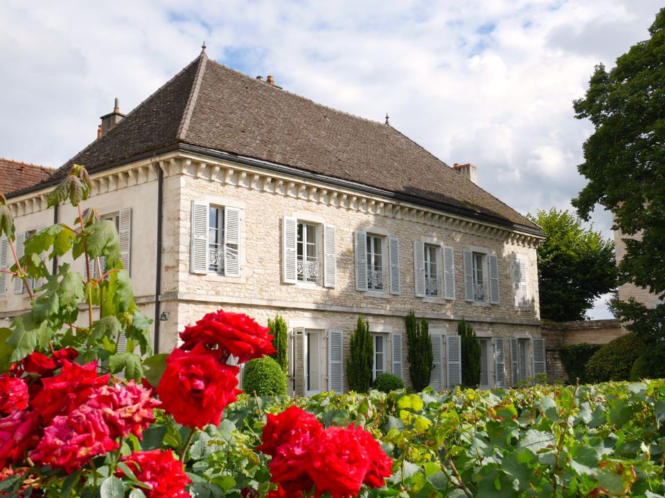 chateau_de_chassagne_montrachet