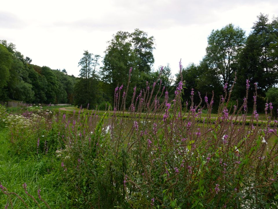 canal du nivernais