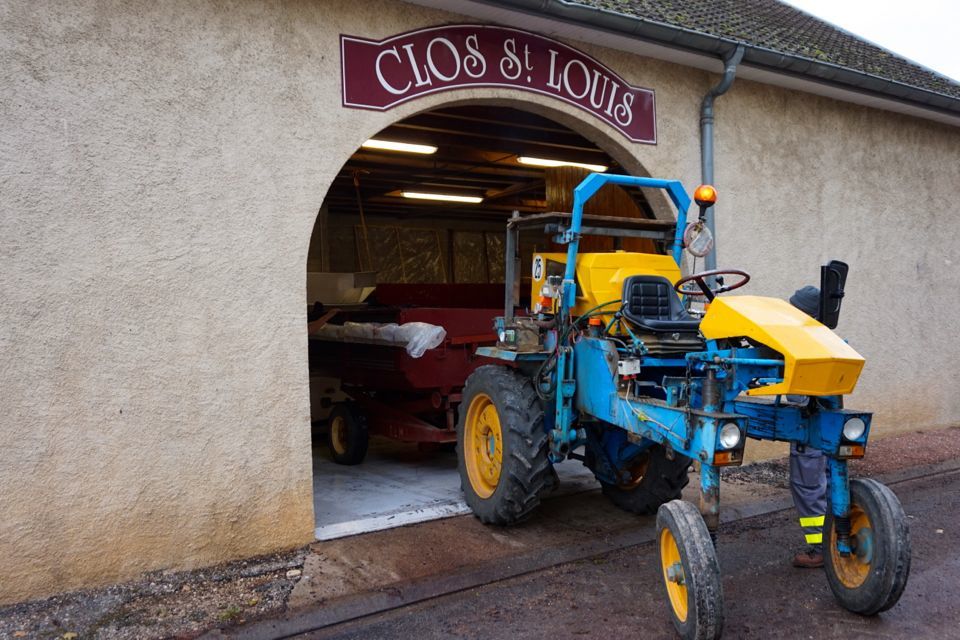 vendanges clos saint louis