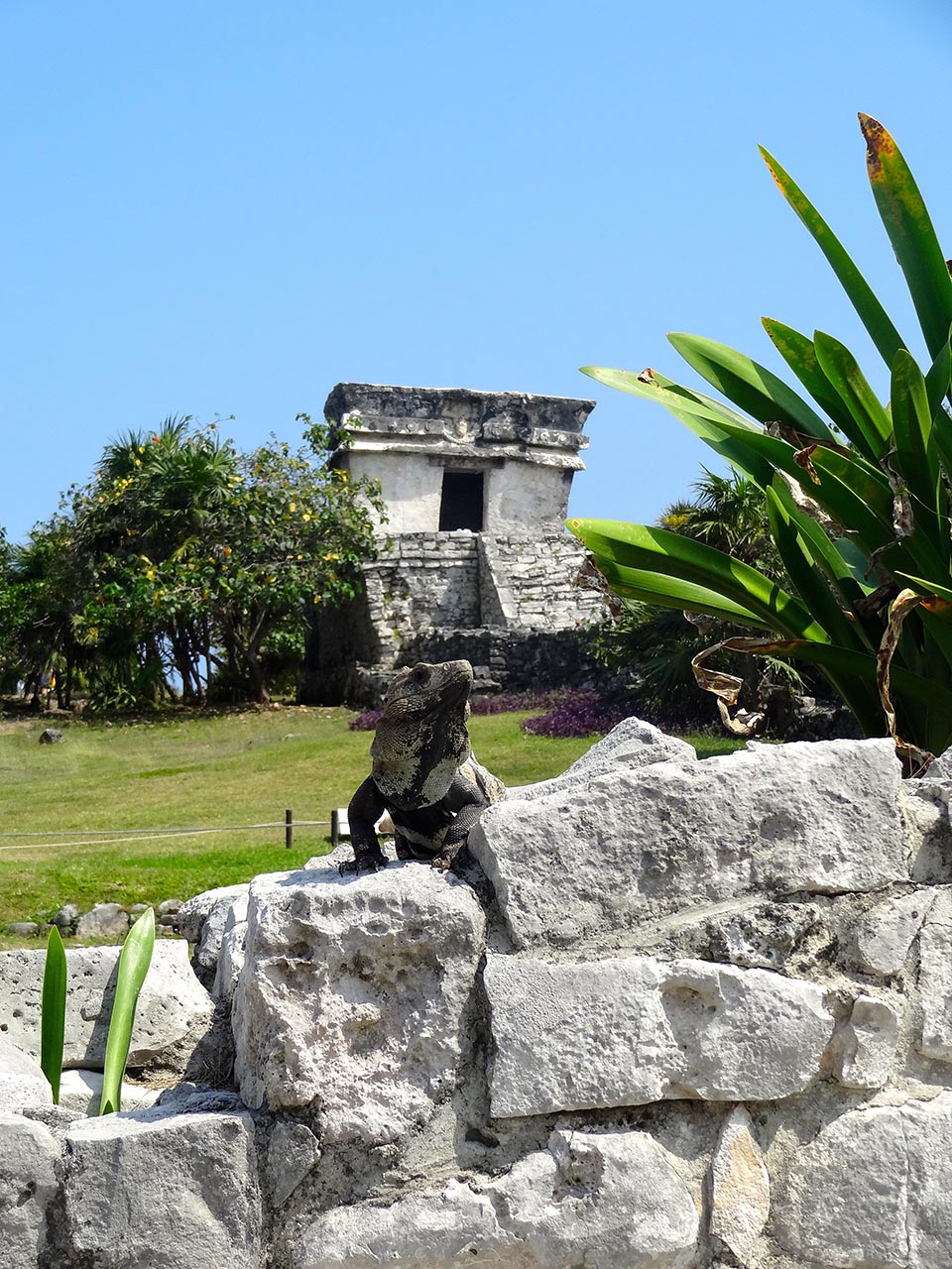 Tulum_ruines