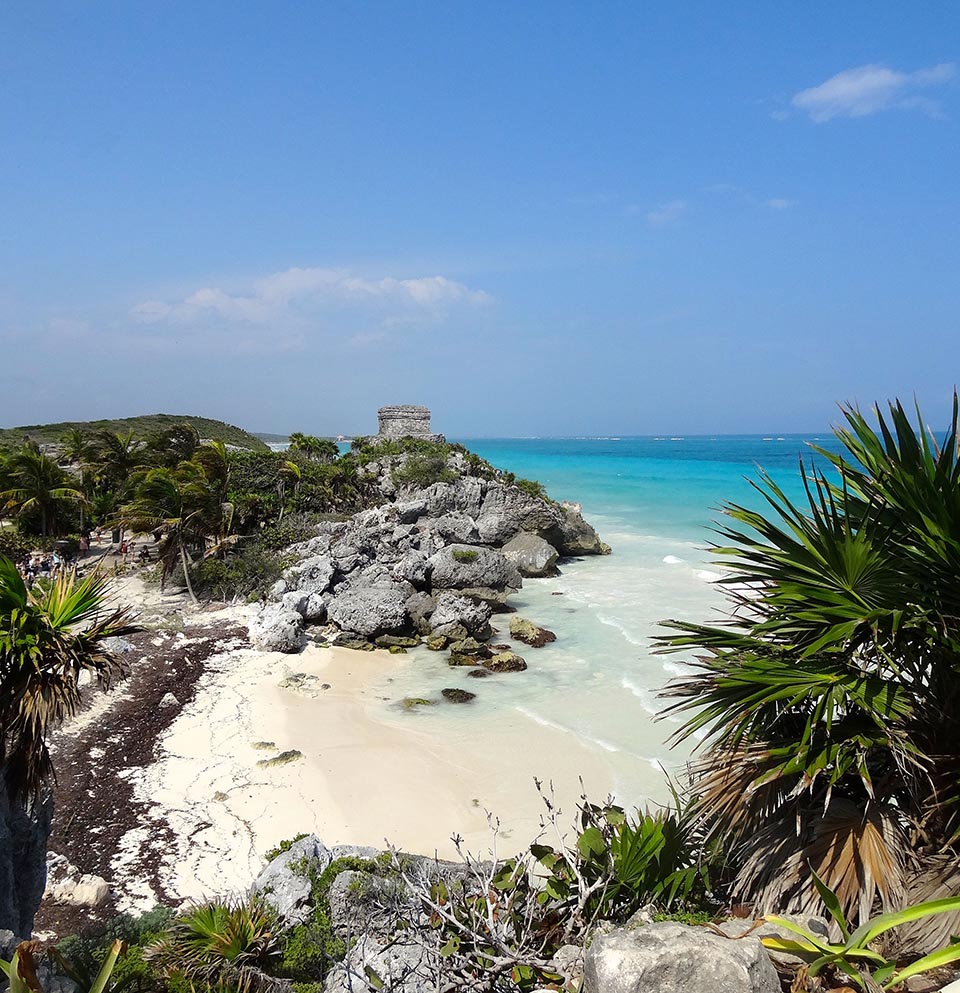 tulum_plage_tortues