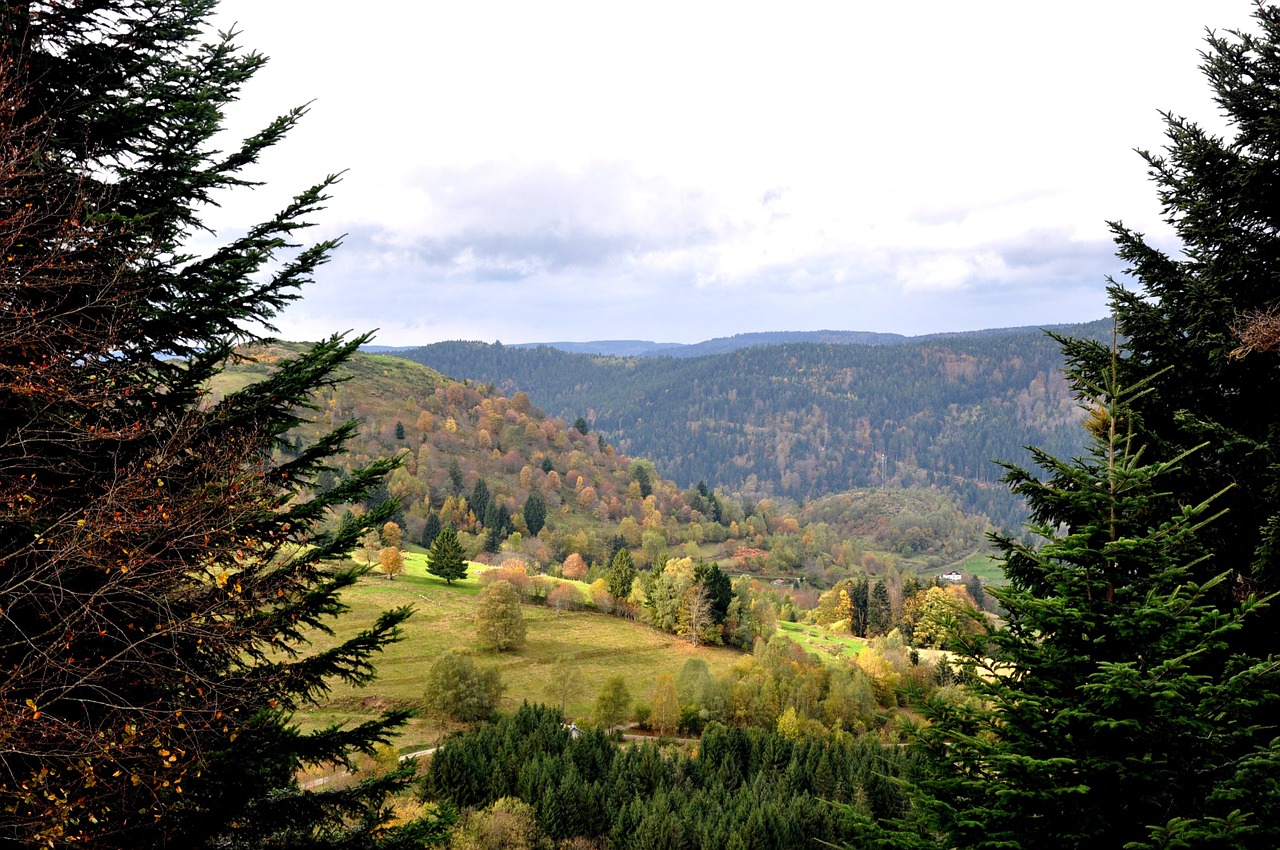 vosges