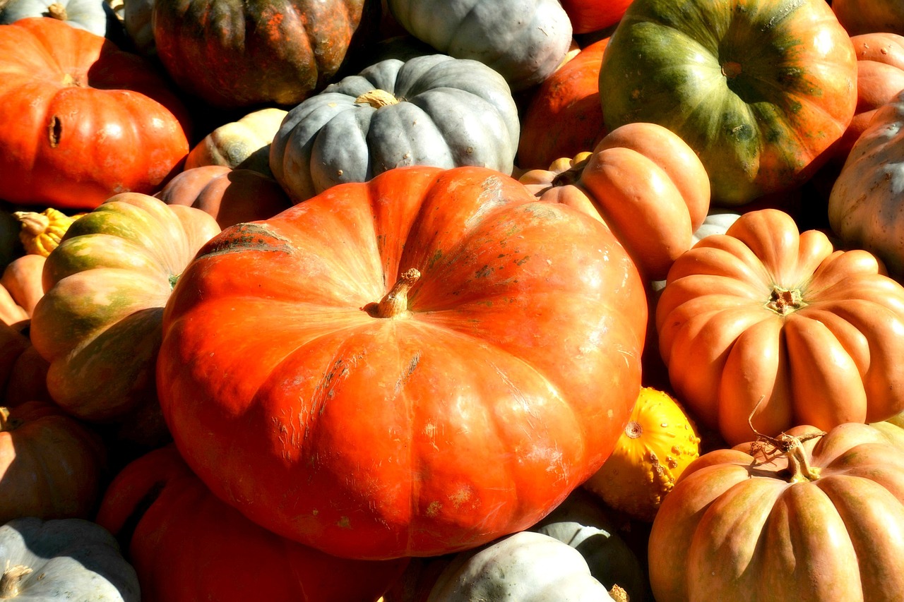 ou partir en novembre