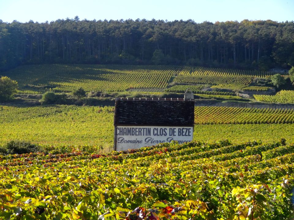 route des grands crus