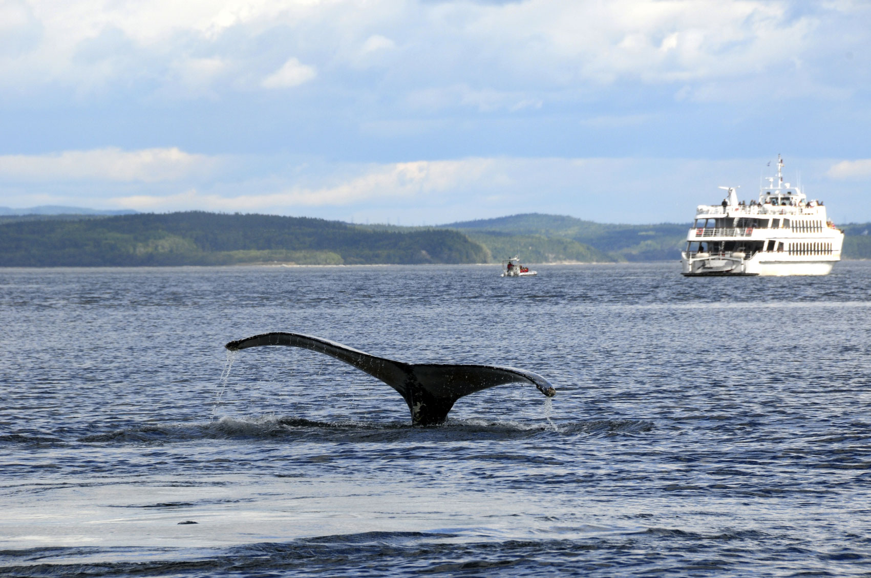 10 choses a faire a tadoussac