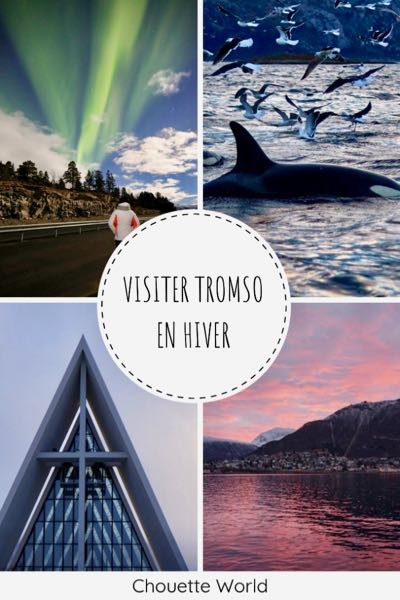 Visiter Tromso en hiver