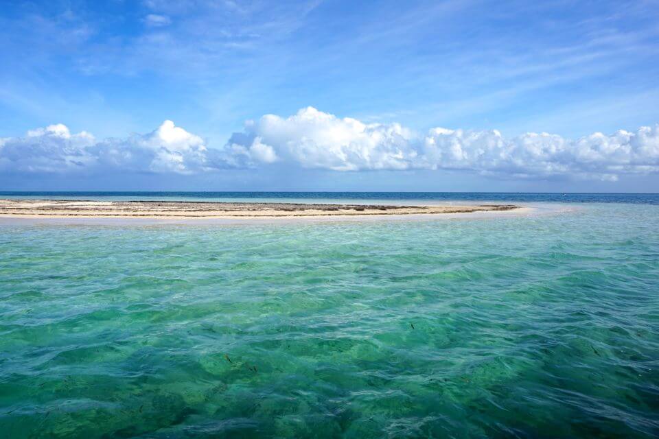 grand cul de sac marin guadeloupe