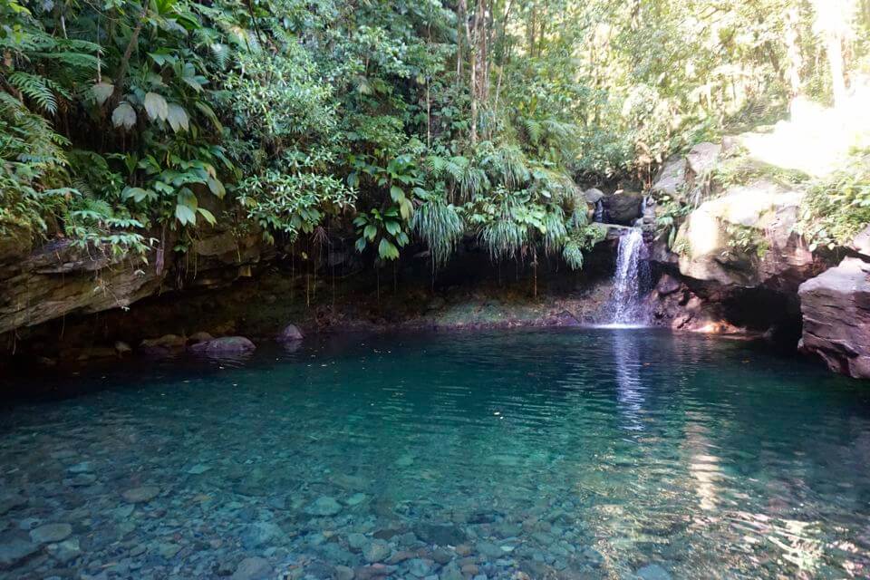 bassin paradise guadeloupe