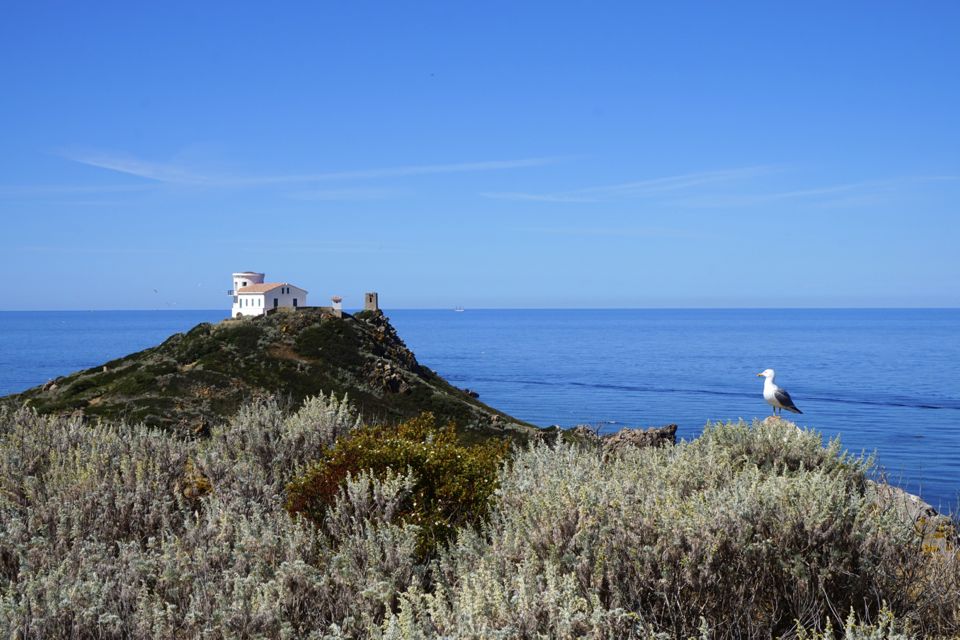 1 semaine en Corse du Sud