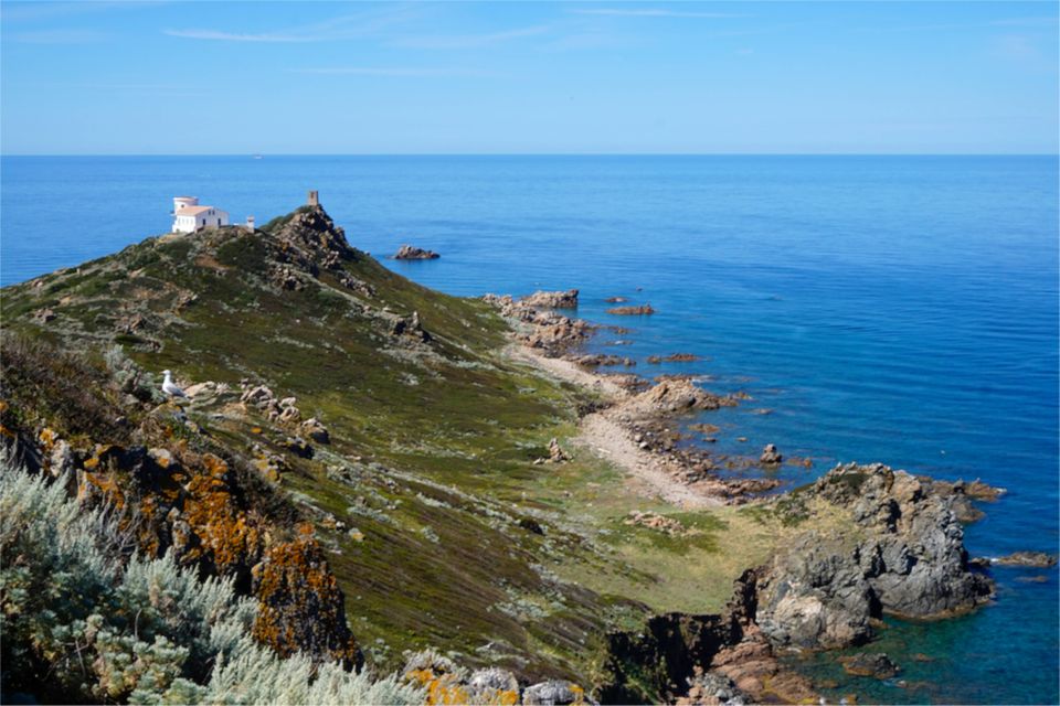 Visiter les iles sanguinaires en Corse