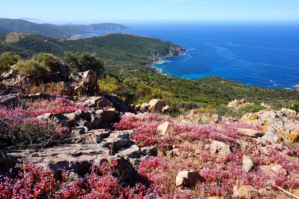 visiter la corse en 15 jours