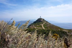 Visiter les iles sanguinaires en Corse