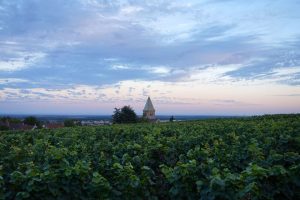 Visiter la Côte de Nuits : Fixin