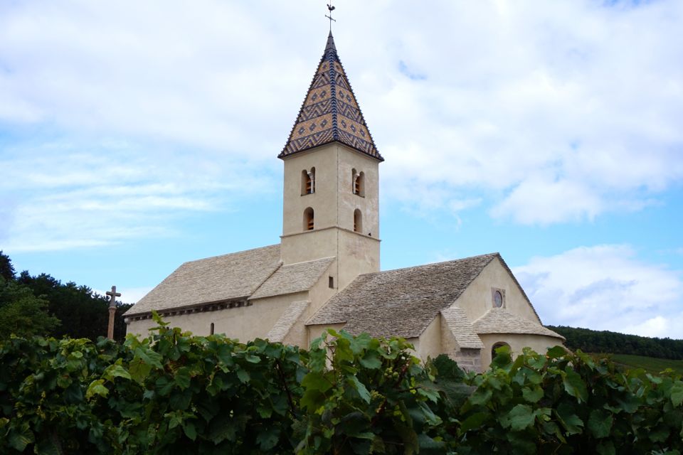 vendanges clos saint louis