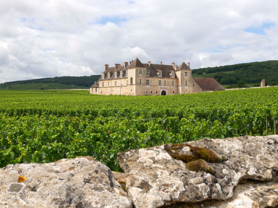 Visiter la Côte de Nuits : Château du Clos Vougeot