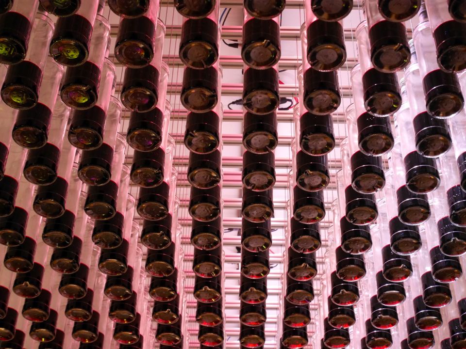 Visiter la Côte de Nuits : cassissium