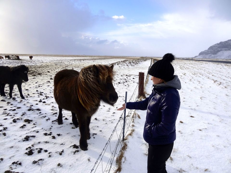 3 jours en Islande